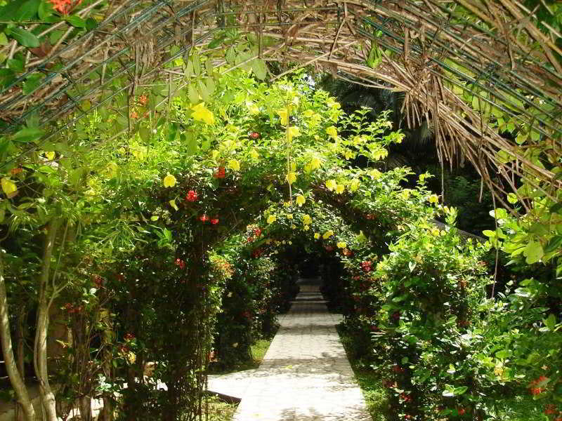 Chan-Kah Resort Village Convention Center & Maya Spa Palenque Zewnętrze zdjęcie